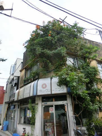 e0045768_22124077.jpg