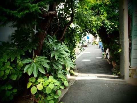e0045768_2295560.jpg
