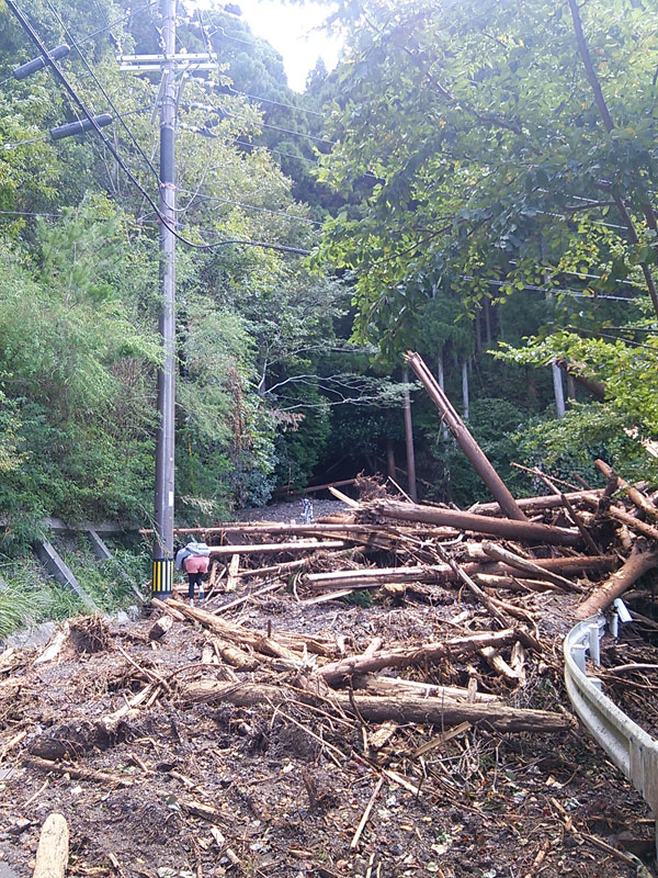 c0107075_1249289.jpg