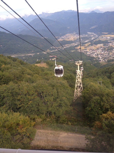 b0192878_2057376.jpg