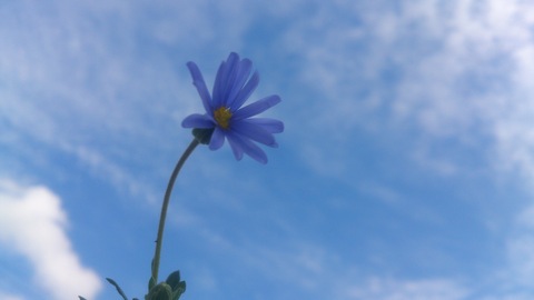 d0182179_185228100.jpg