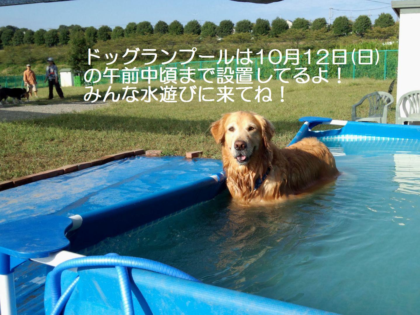 f0230380_20471680.jpg