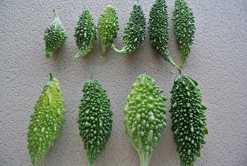 b0128589_21152660.jpg