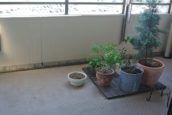 b0128589_2118091.jpg