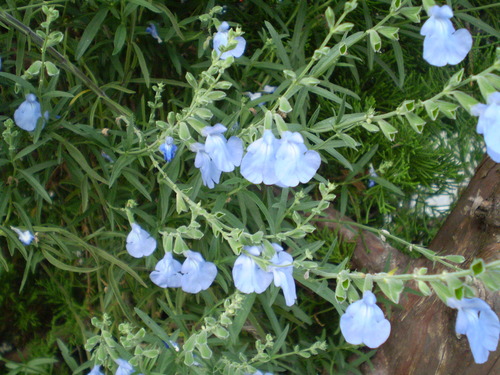 a0135990_22332119.jpg