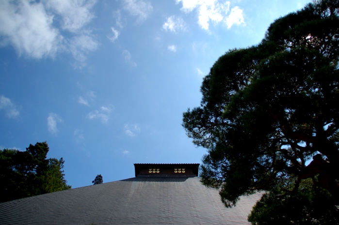 c0246290_234198.jpg