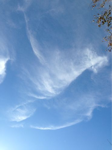 f0298891_218792.jpg