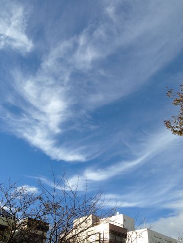 f0298891_21894.jpg