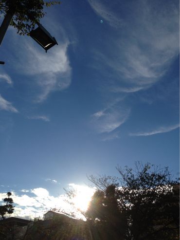 f0298891_782494.jpg