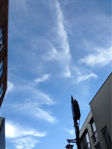 f0298891_782568.jpg