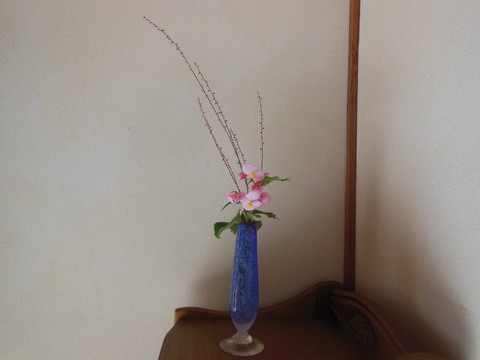 a0230192_1451380.jpg