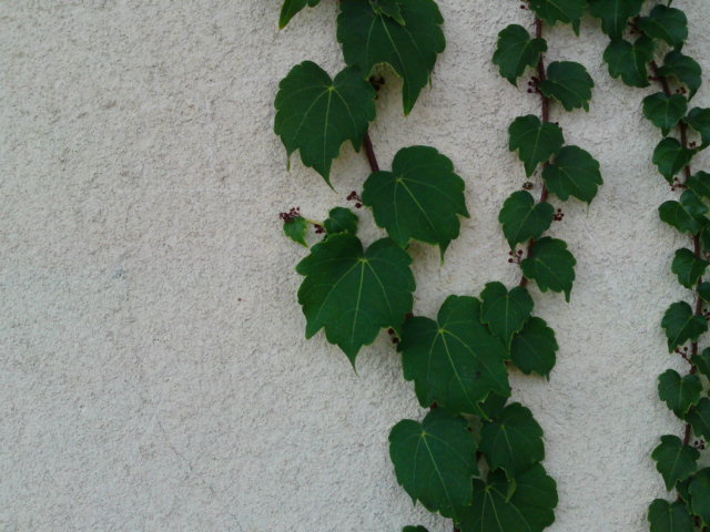 c0095492_2303644.jpg