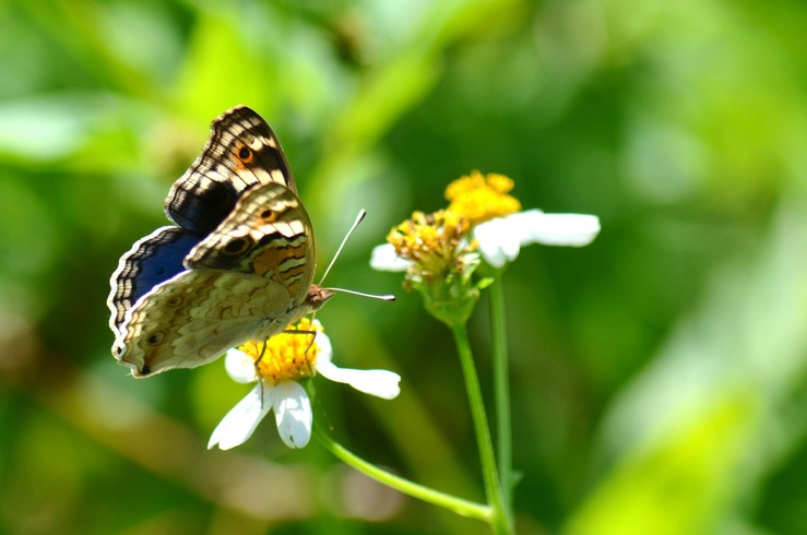 a0277496_96985.jpg