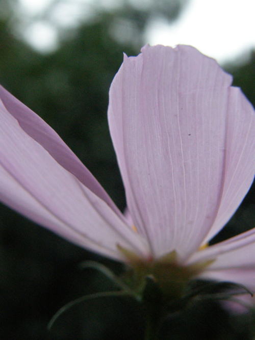e0017396_23185845.jpg