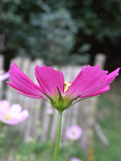 e0017396_2326041.jpg