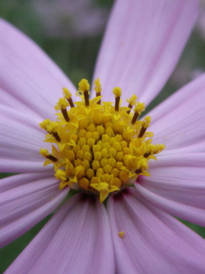 e0017396_23303031.jpg