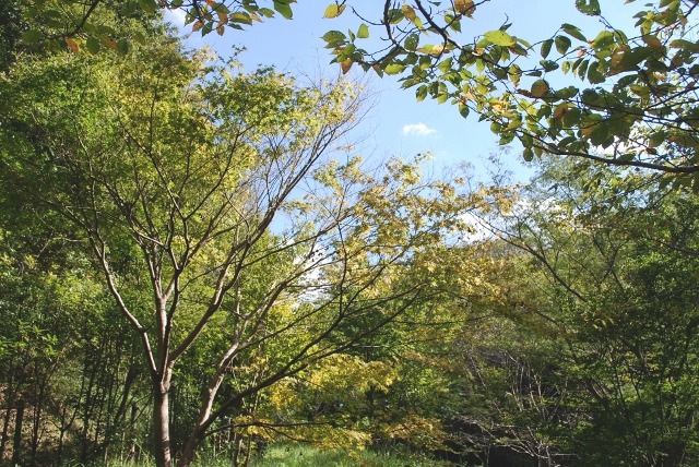 e0025300_21514891.jpg