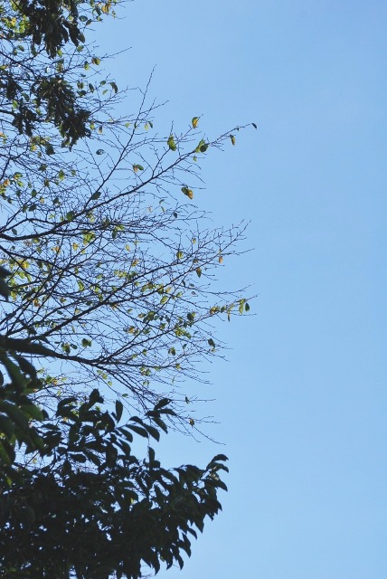 e0025300_21561145.jpg
