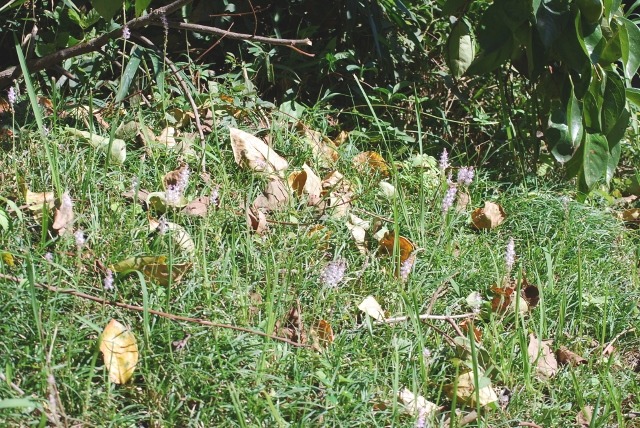 e0025300_21584472.jpg