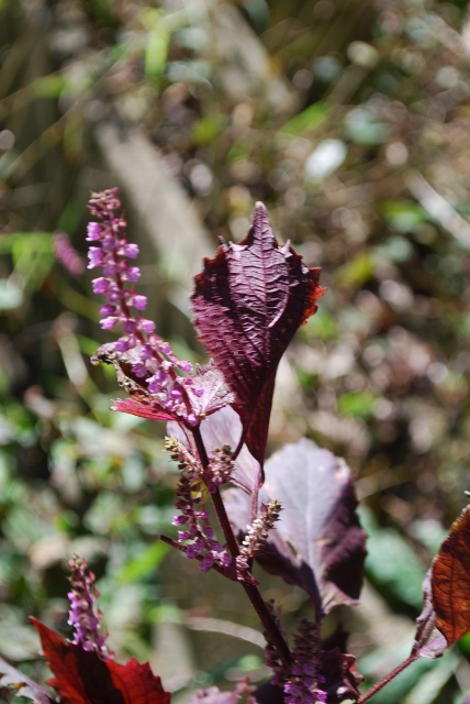 e0025300_22284555.jpg