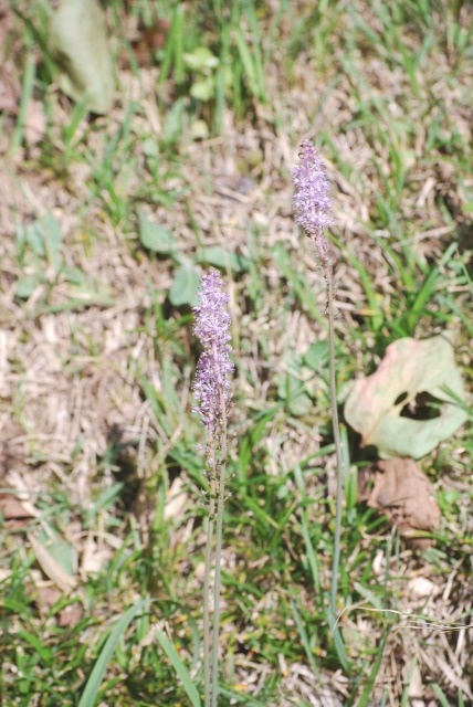 e0025300_224183.jpg