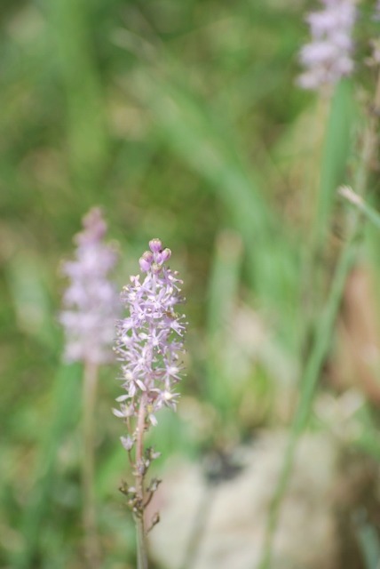 e0025300_226057.jpg