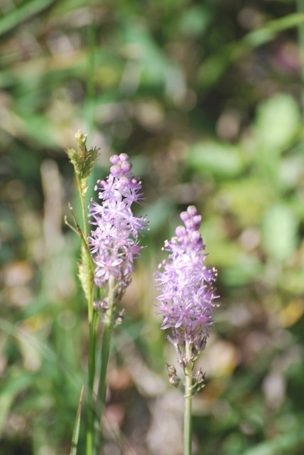 e0025300_228662.jpg