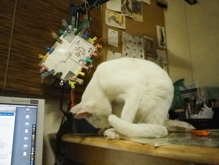 f0239100_19102664.jpg