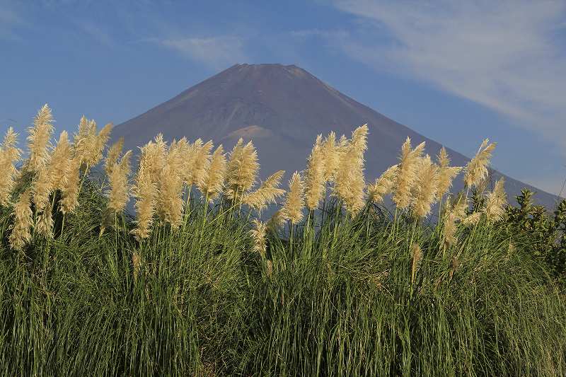 a0188405_100416.jpg