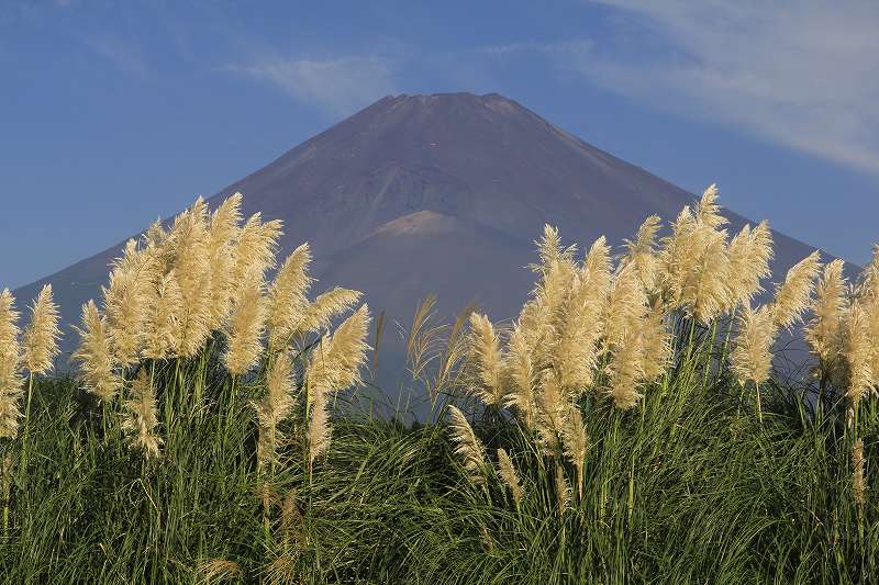 a0188405_9554963.jpg