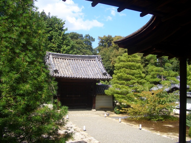e0033713_8202954.jpg