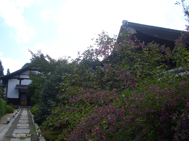e0033713_895510.jpg
