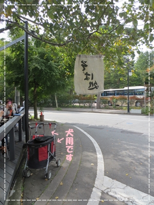 b0167519_1713287.jpg