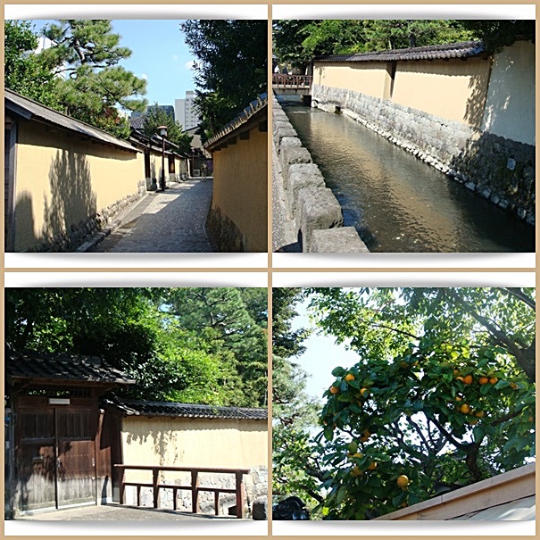 b0068423_22491494.jpg