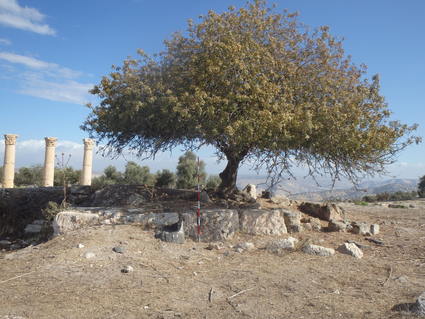 c0112823_861043.jpg