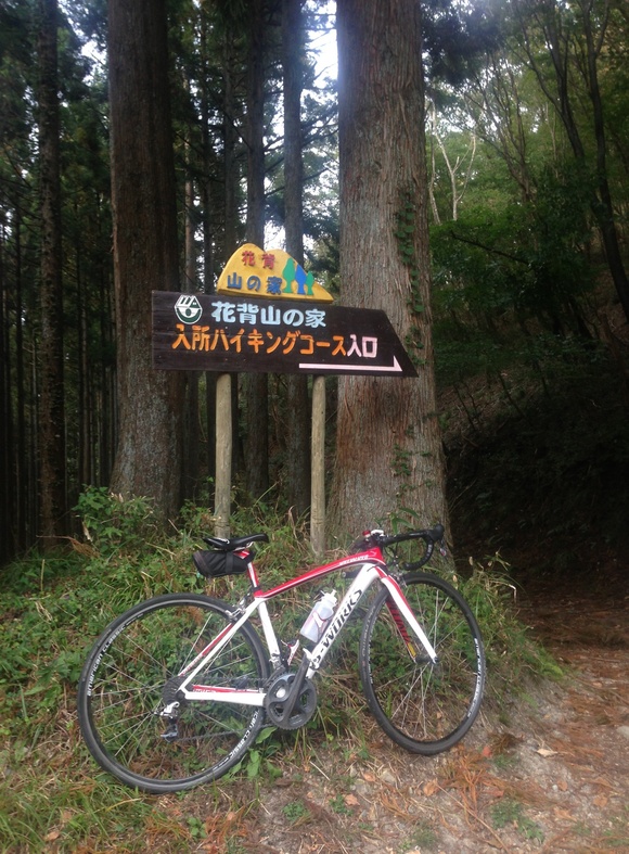 c0188525_1724010.jpg