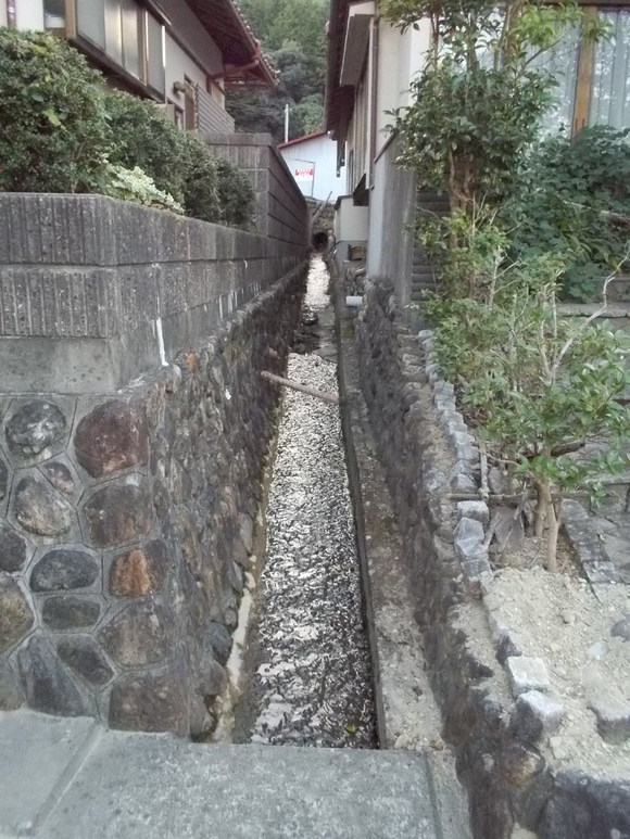 f0111128_028130.jpg