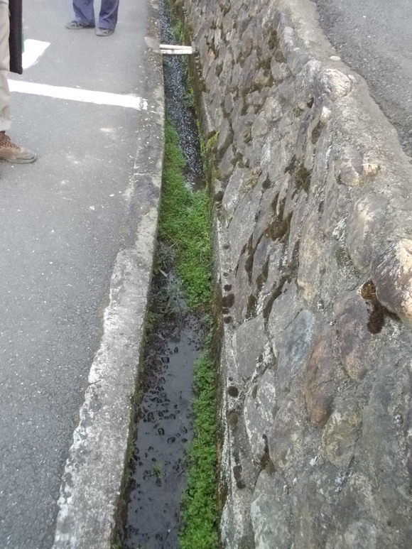 f0111128_0401028.jpg