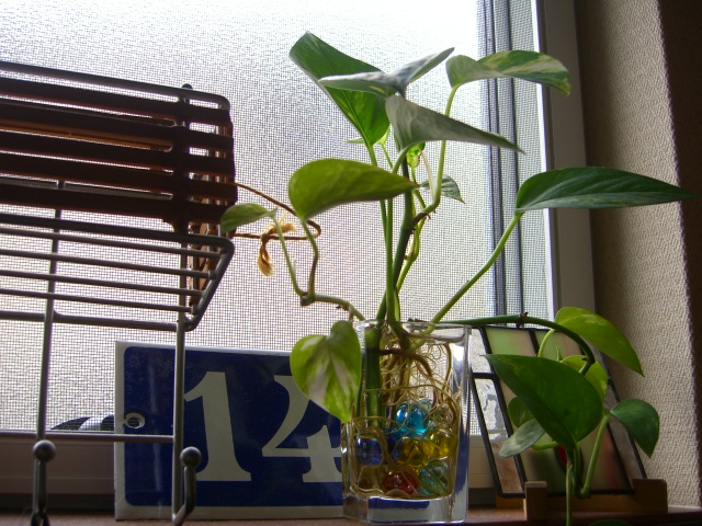 c0147830_14245387.jpg