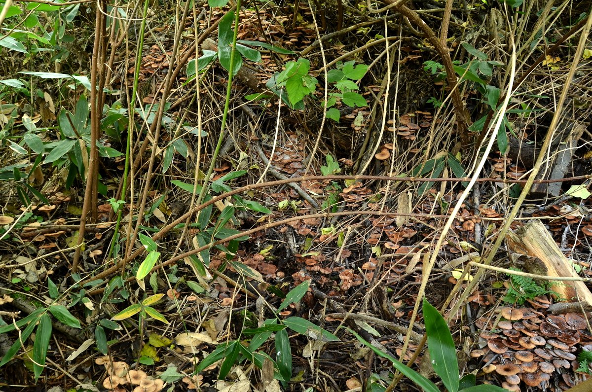 c0286530_22112588.jpg