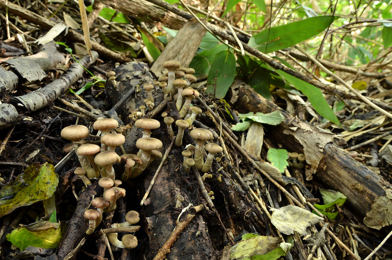 c0286530_22112863.jpg
