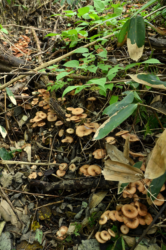c0286530_22113131.jpg