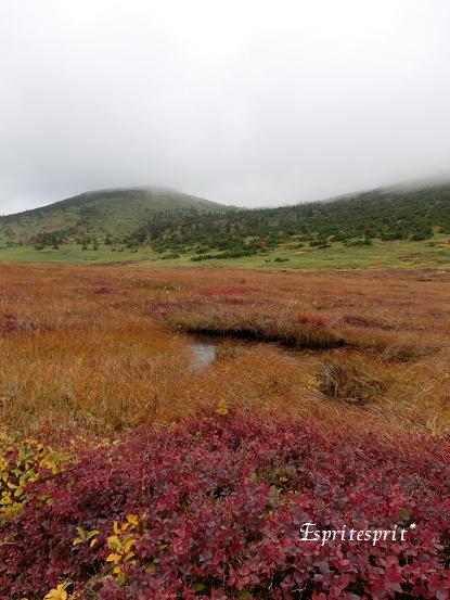 f0142141_0103398.jpg