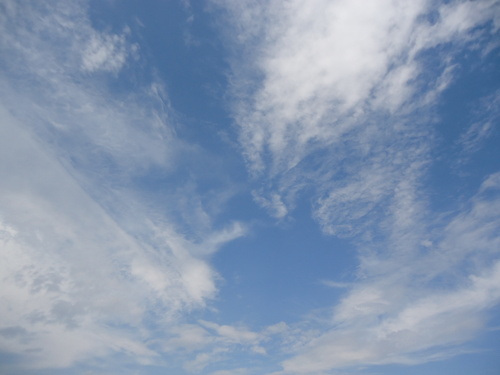 a0099446_9542784.jpg
