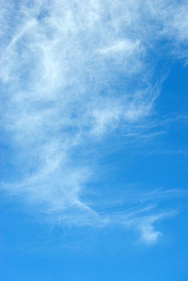 a0001354_2236458.gif
