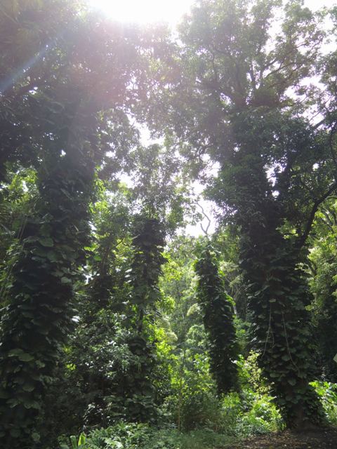 b0173754_13203458.jpg