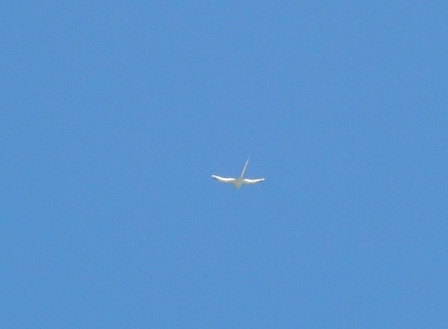 b0173754_13594468.jpg