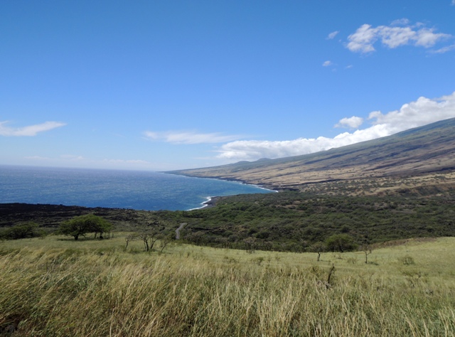 b0173754_14244474.jpg