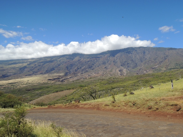 b0173754_1430168.jpg
