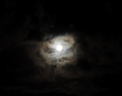 b0173754_14383746.jpg